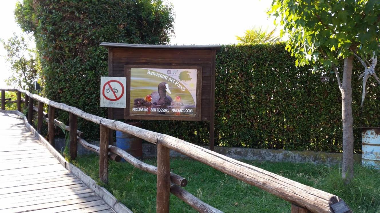 Villa Twetty Massaciuccoli Ngoại thất bức ảnh